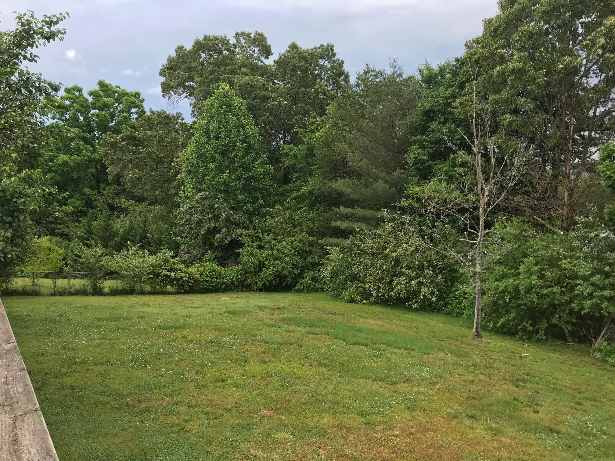 461 Summit Ridge Road Dunlap, TN 37327 - Photo 28 of 31 IMG_2974