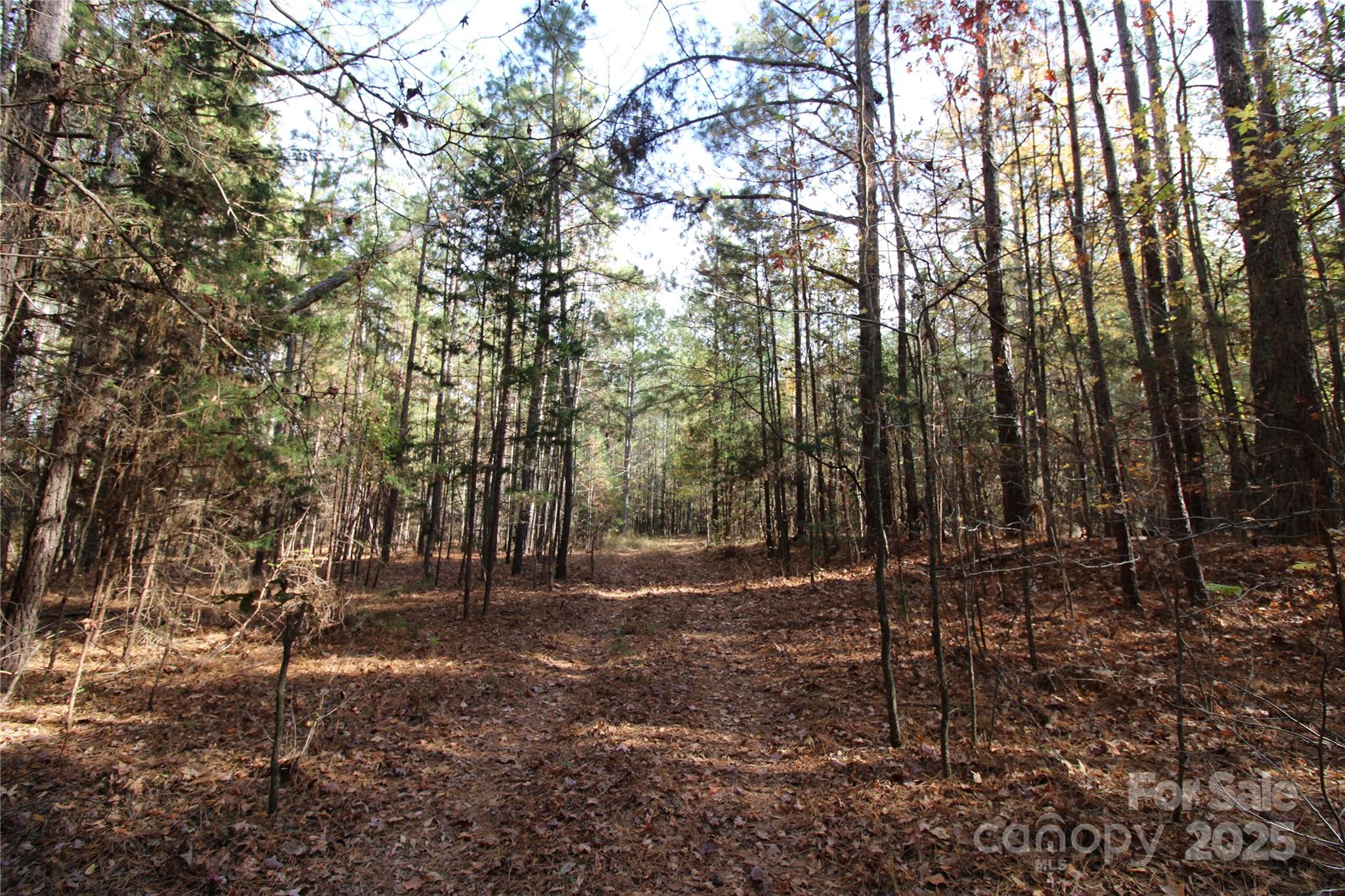 6-ac Bookout Road McConnells, SC 29726 - Photo 3 of 10 a view of outdoor space with lots of trees