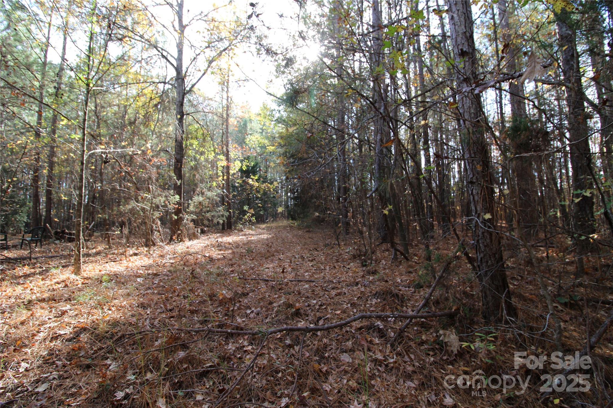 6-ac Bookout Road McConnells, SC 29726 - Photo 4 of 10 a view of a forest with trees