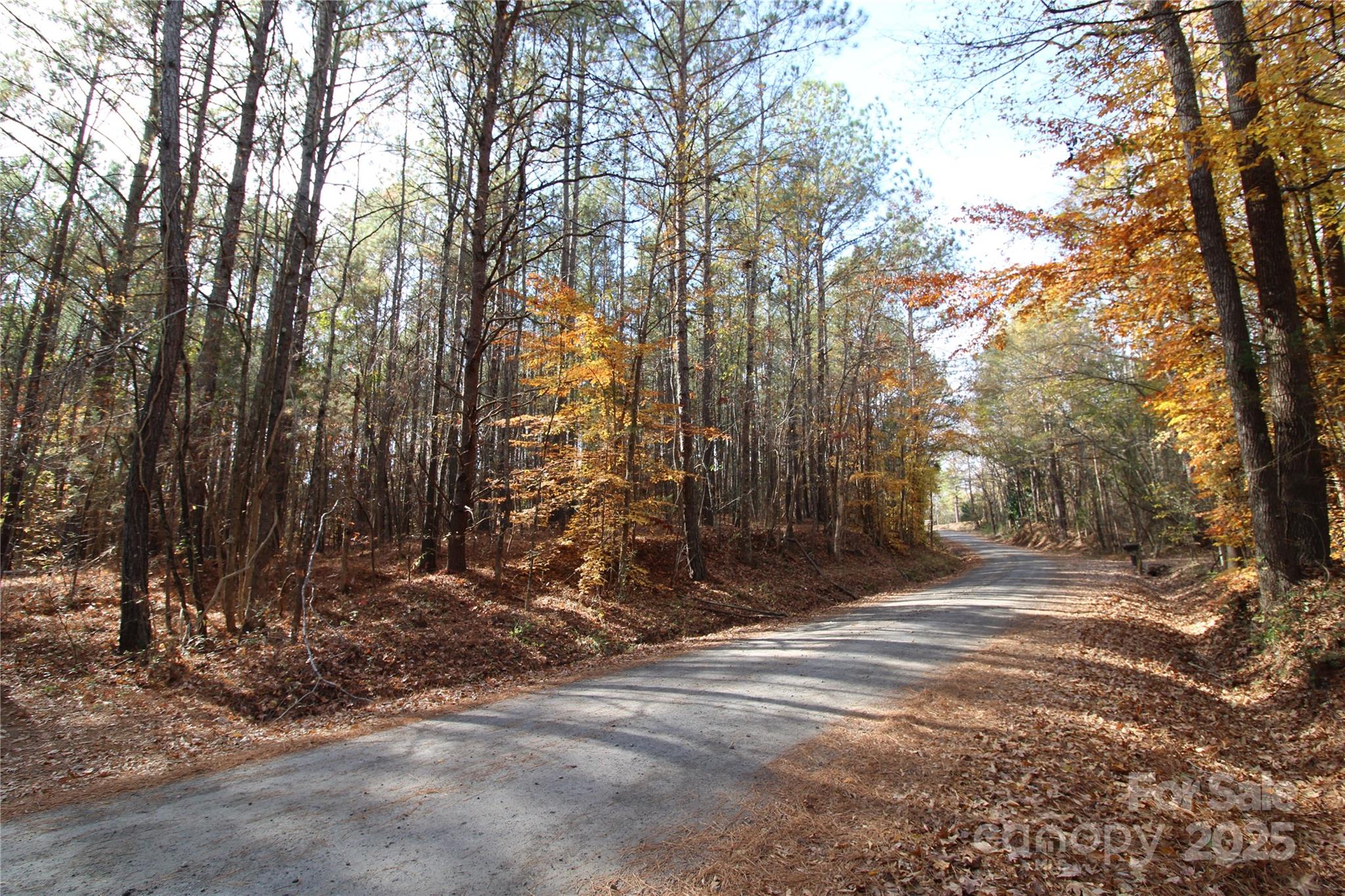 6-ac Bookout Road McConnells, SC 29726 - Photo 8 of 10 a view of a backyard of a house