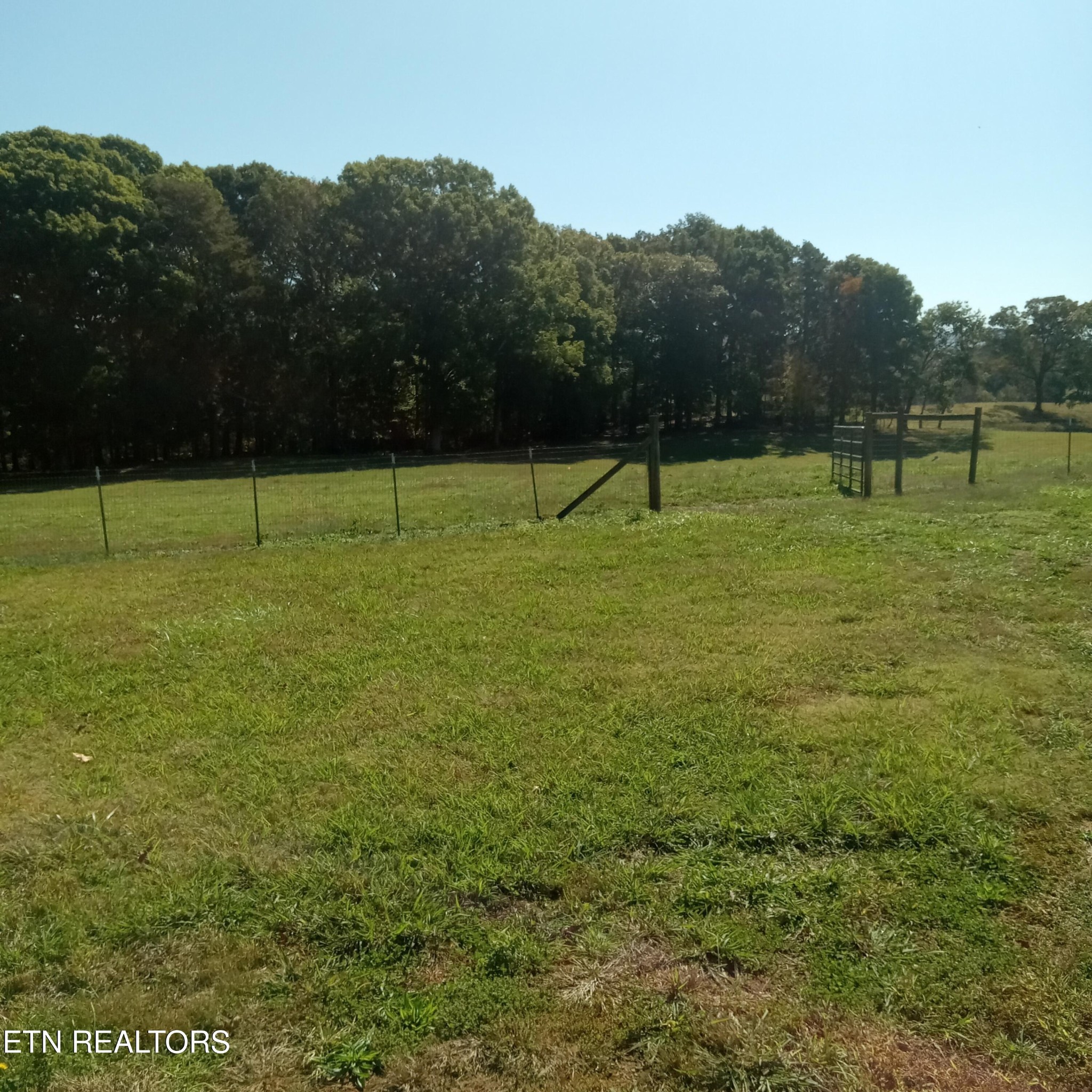 890 Fairview Road Tellico Plains, TN 37385 - Photo 11 of 19 Gallery Image 11