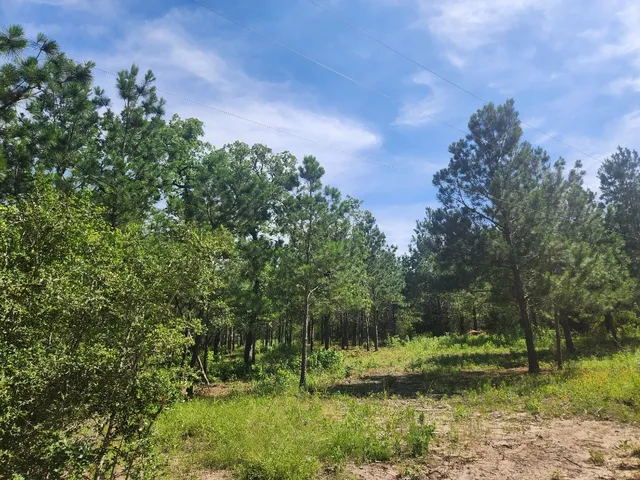a view of outdoor space and yard