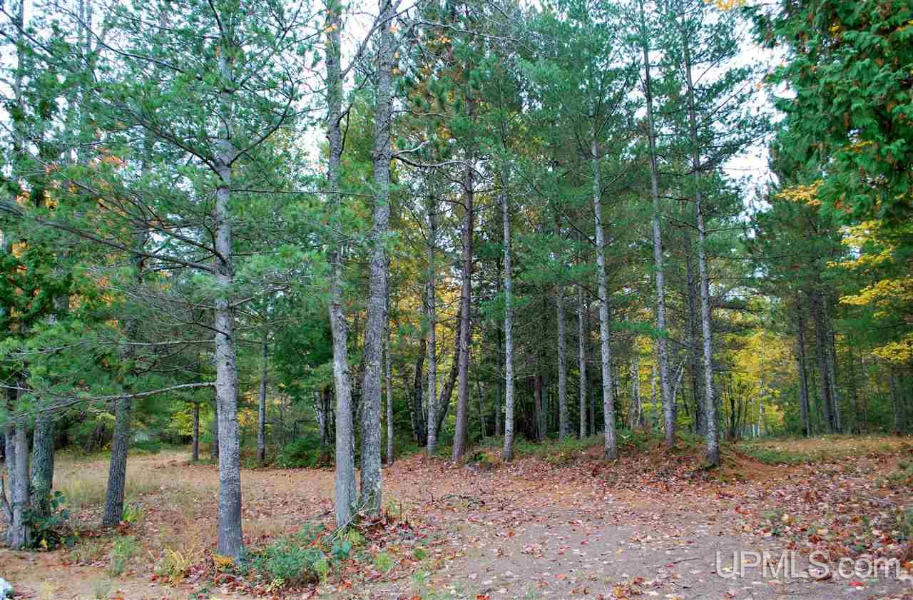 Tbd Little Rice Lake Rd (lot 18), Unit 18 Lake Linden, MI 49945 - Photo 24 of 34