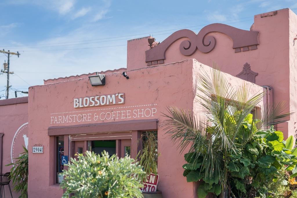 86 Blake Avenue Corralitos, CA 95076 - Photo 6 of 6 a front view of a building with potted plants