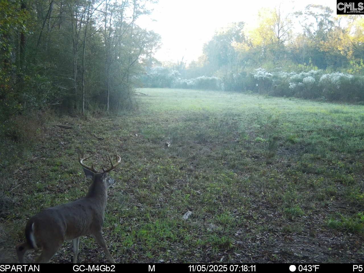 561 Church Road Batesburg, SC 29006 - Photo 11 of 24