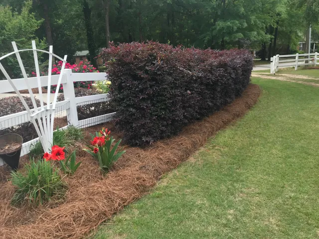 $359,900 | 47 Buena Vista Avenue, Warrenton, GA 30828