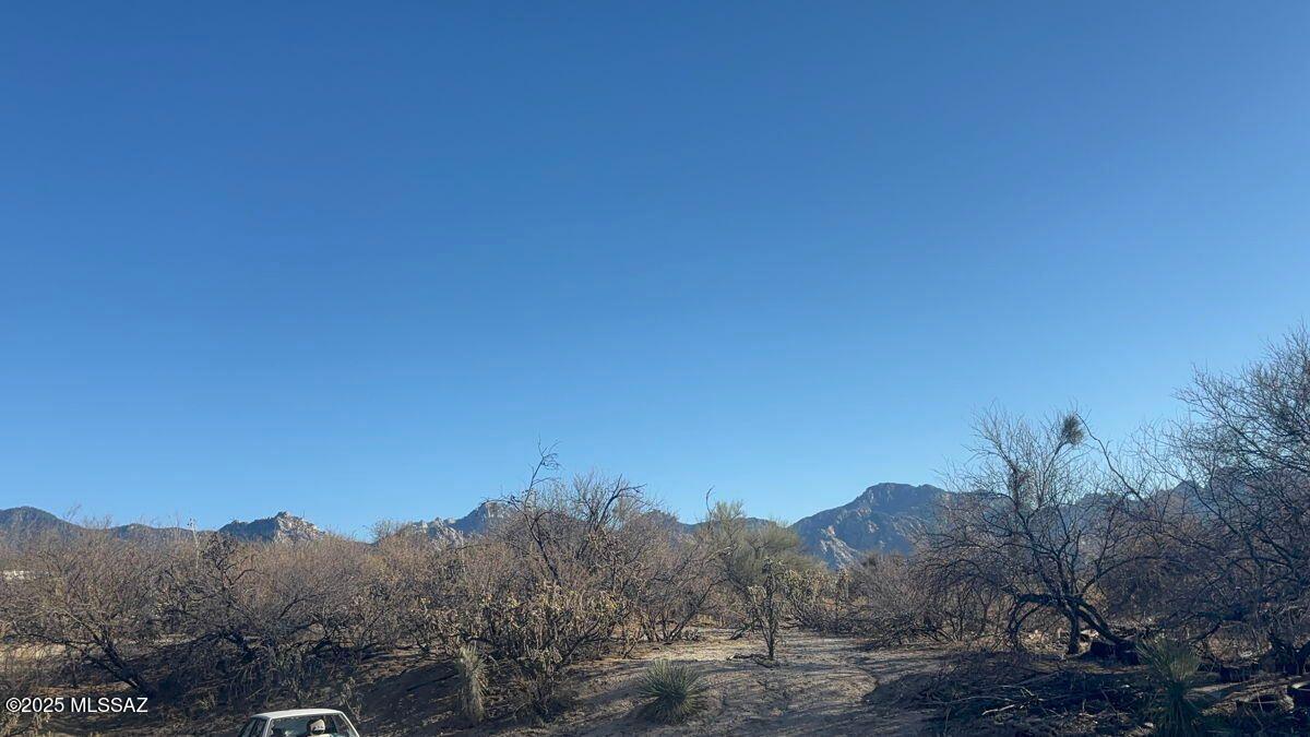 4320 East Wilds Road Tucson, AZ 85739 - Photo 2 of 9