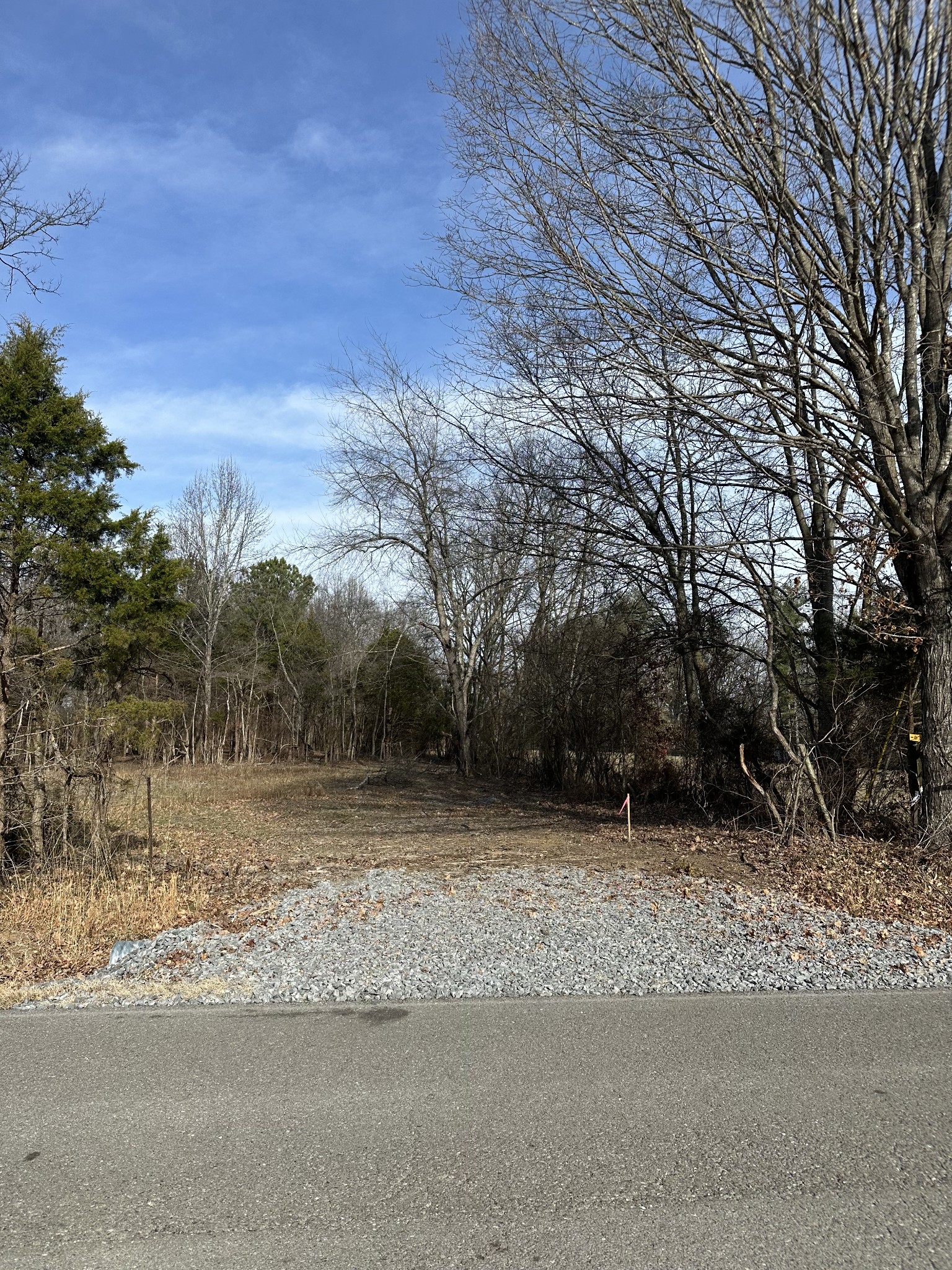 1991 Raymond Hodges Road Cottontown, TN 37048 - Photo 3 of 18 a view of a yard with a tree