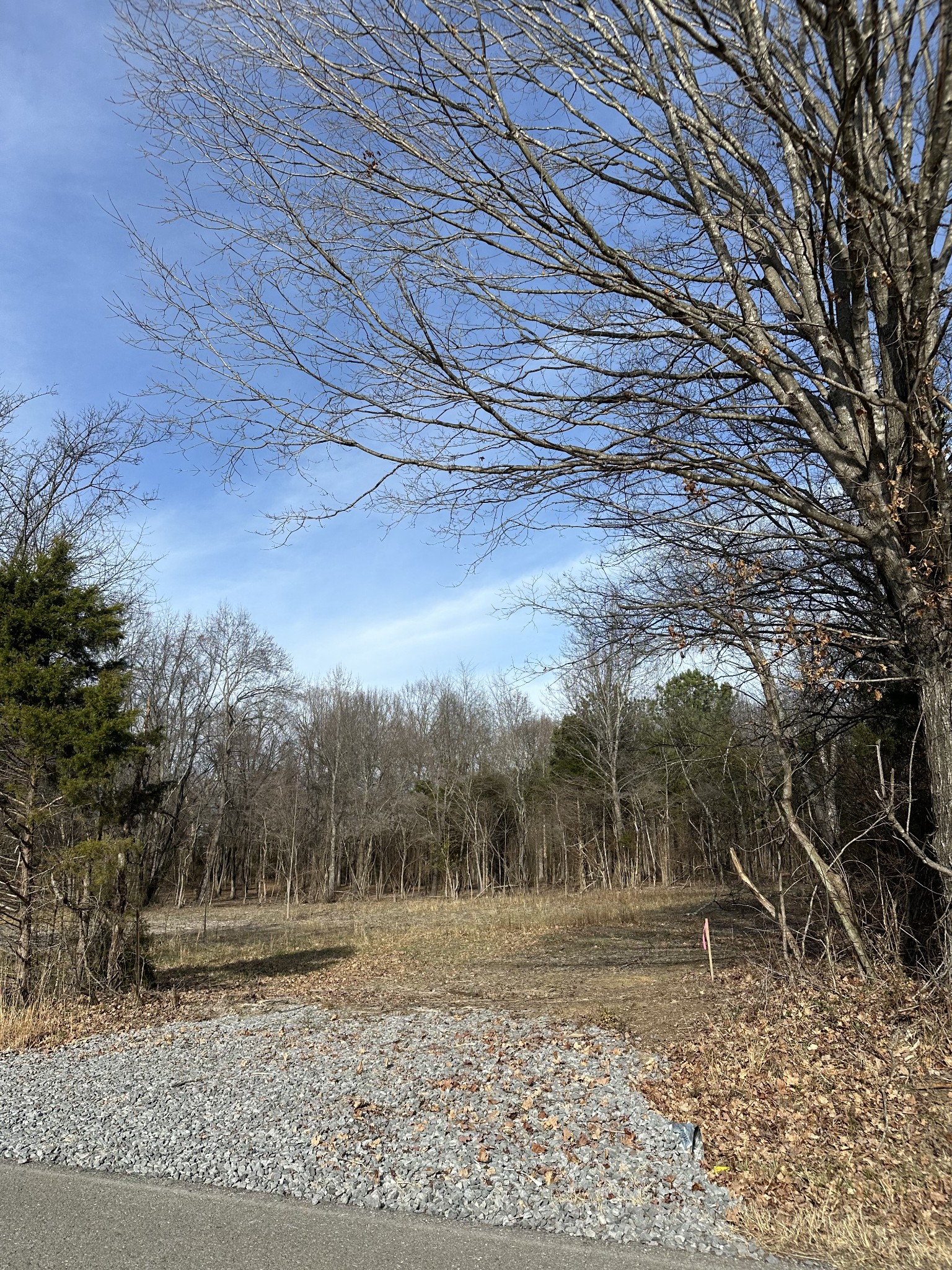 1991 Raymond Hodges Road Cottontown, TN 37048 - Photo 4 of 18 a view of a yard with large trees