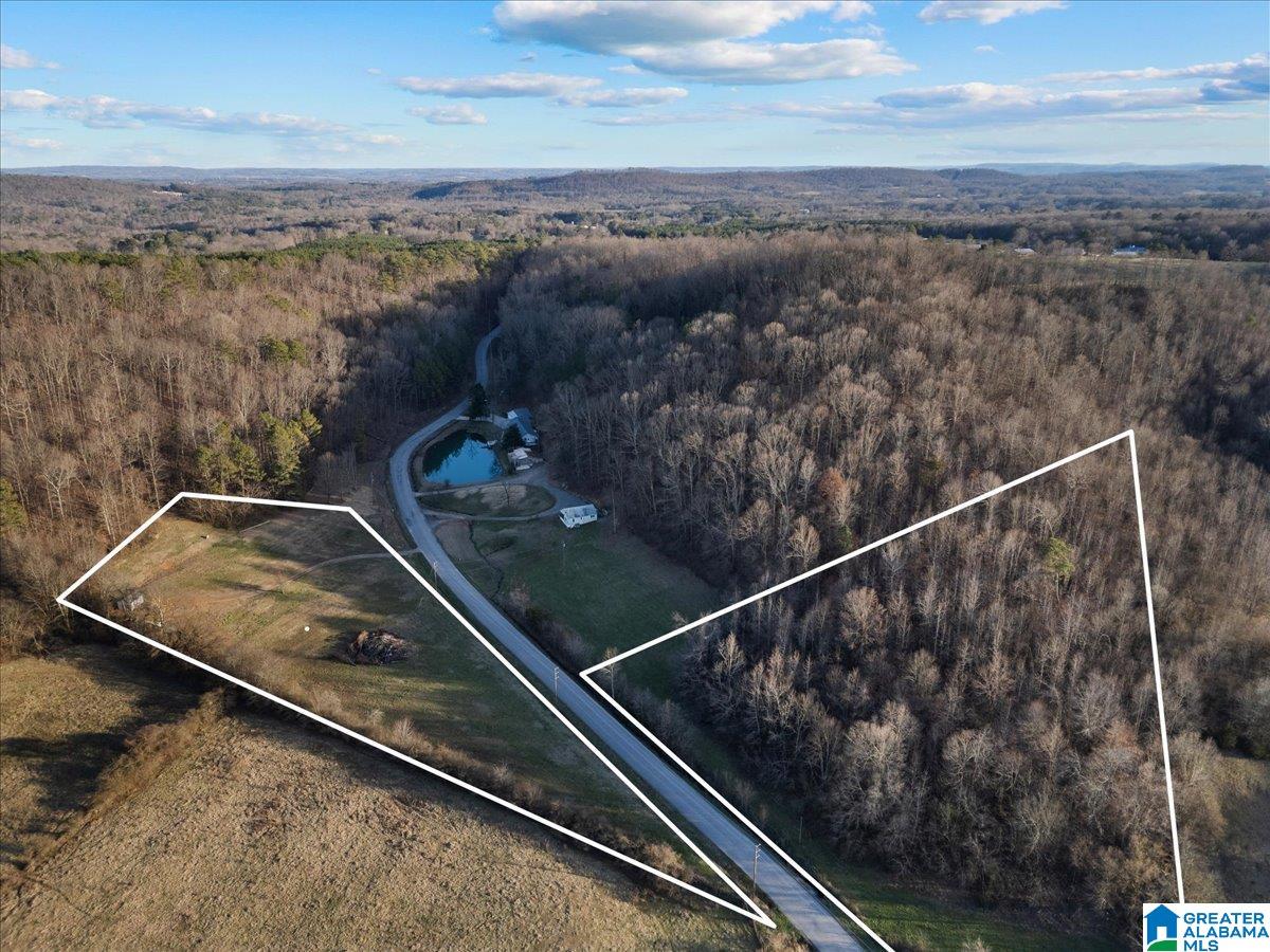 0 Rocky Hollow Road, Unit 10 Guntersville, AL 35976 - Photo 6 of 11