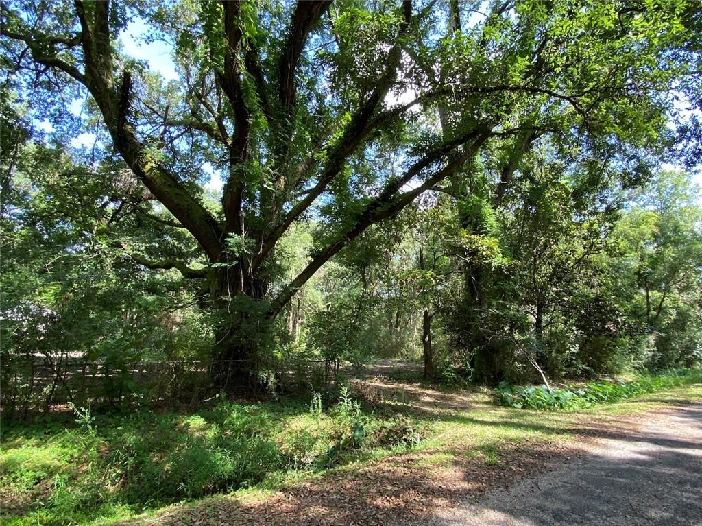 638 Front Street Slidell, LA 70458 - Photo 2 of 6 Gallery Image 2