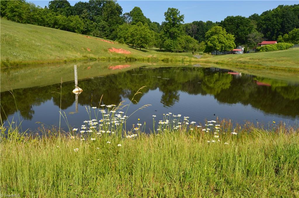 168 Smith Road Reidsville, NC 27320 - Photo 20 of 29 Gallery Image 20