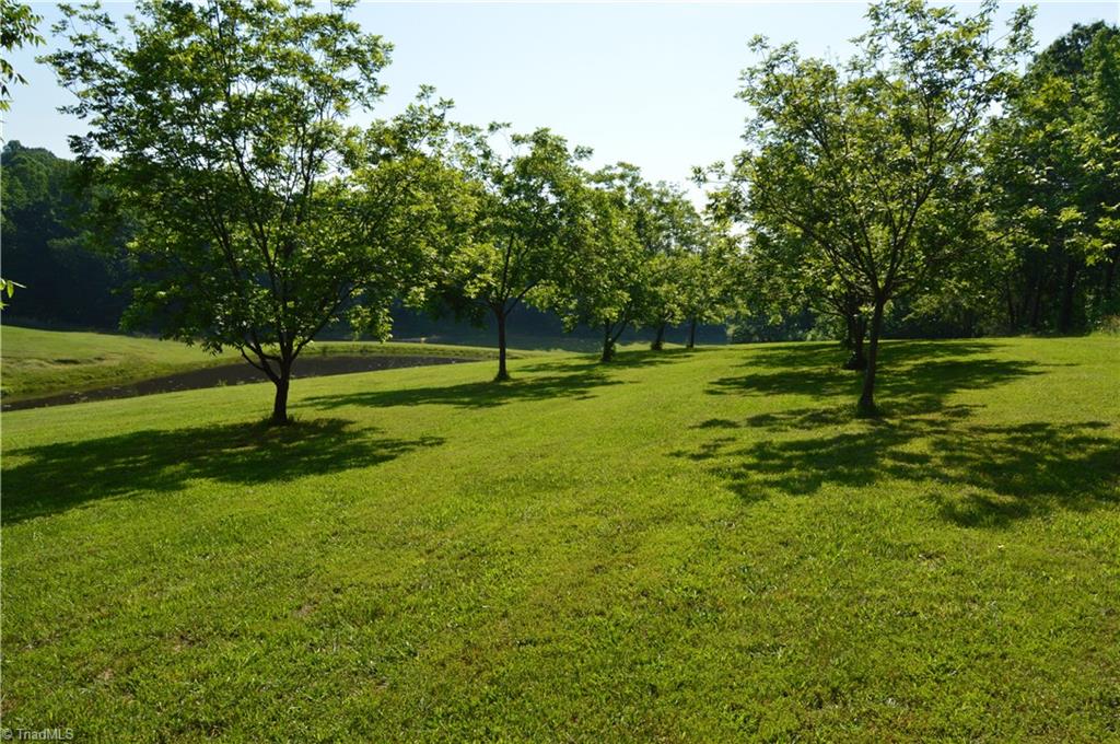 168 Smith Road Reidsville, NC 27320 - Photo 21 of 29 Gallery Image 21