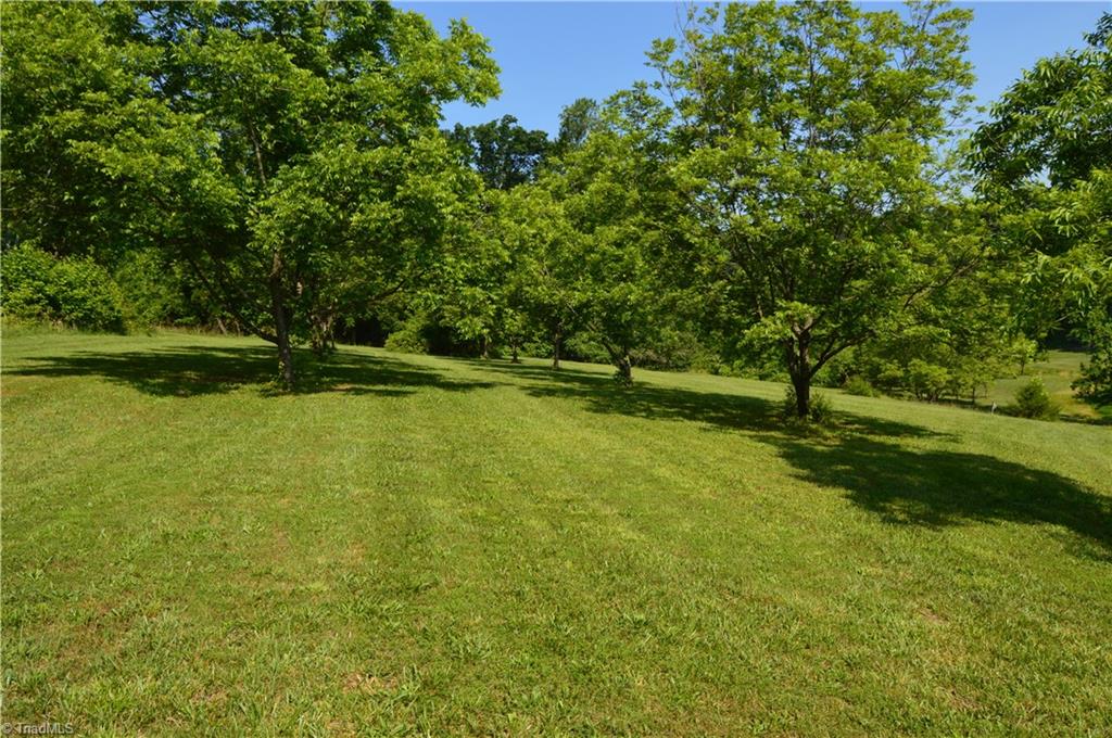 168 Smith Road Reidsville, NC 27320 - Photo 22 of 29 Gallery Image 22