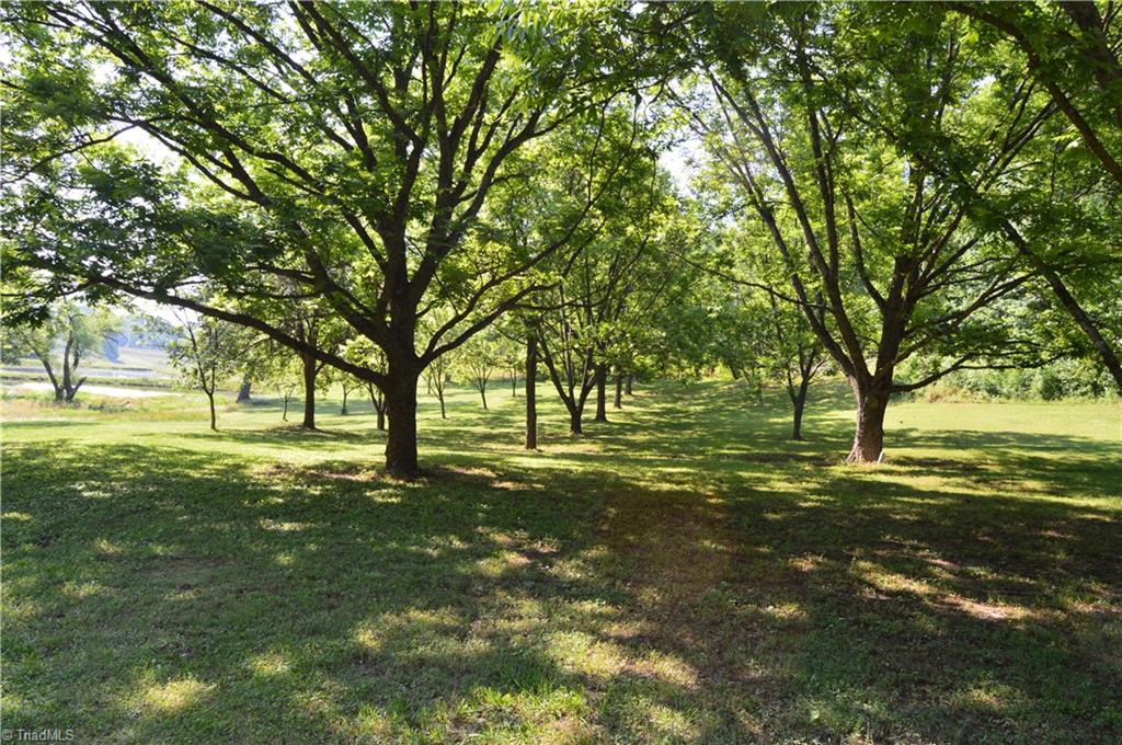 168 Smith Road Reidsville, NC 27320 - Photo 24 of 29 Gallery Image 24