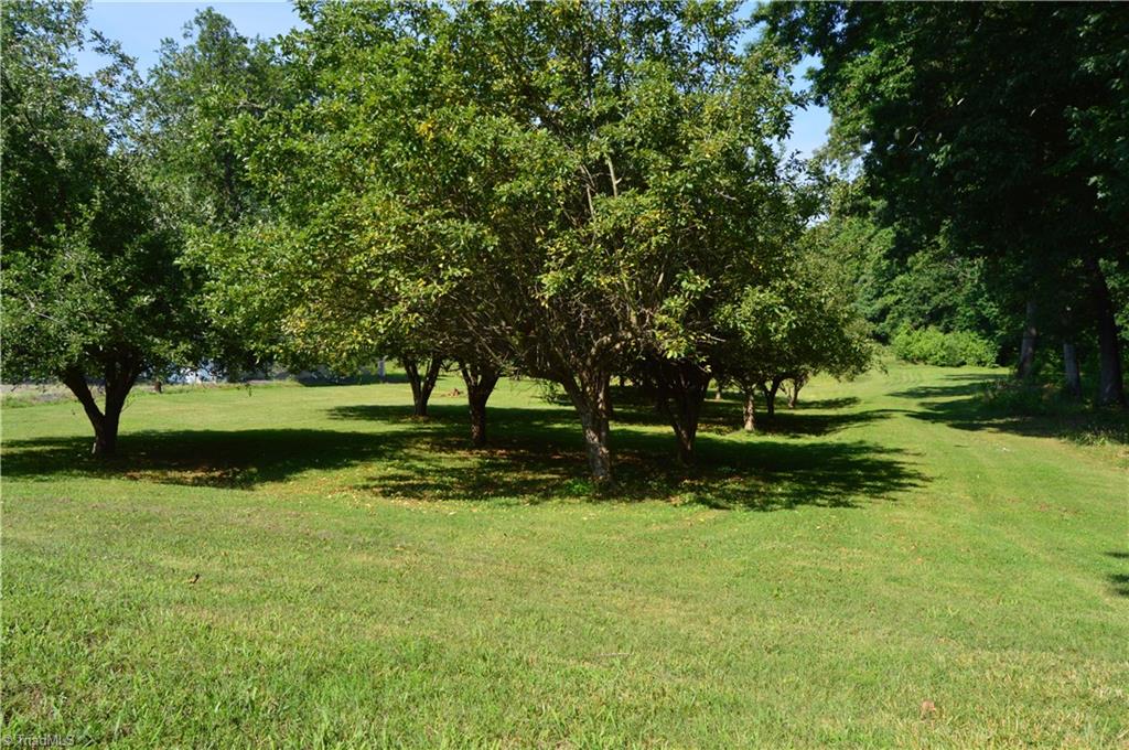 168 Smith Road Reidsville, NC 27320 - Photo 28 of 29 Gallery Image 28