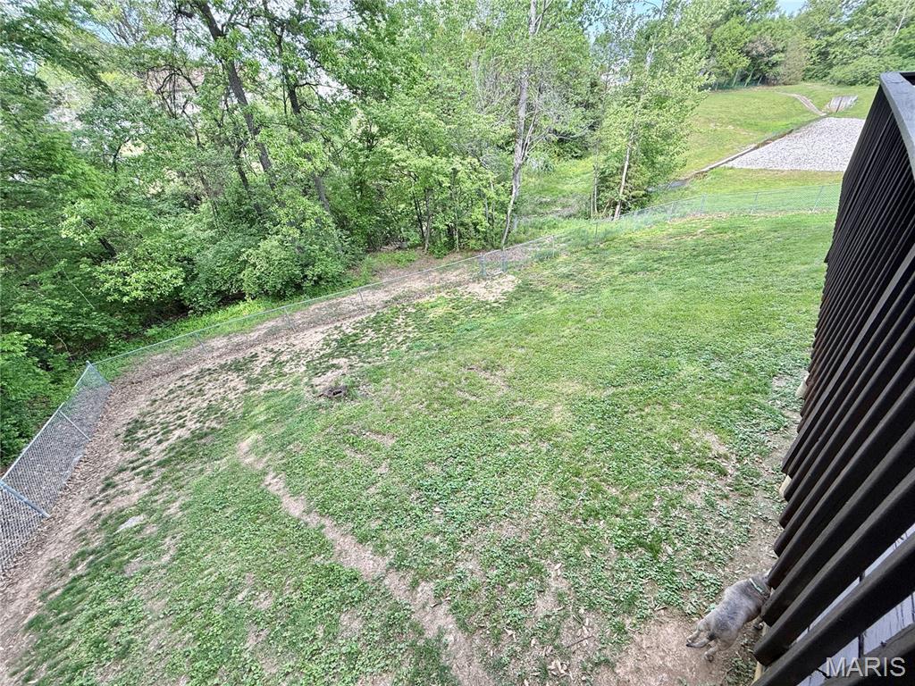 1401 Moose Pass Festus, MO 63028 - Photo 43 of 60