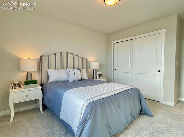 17617 Lemon Rye Loop Monument, CO 80132 - Photo 17 of 17 bed 2