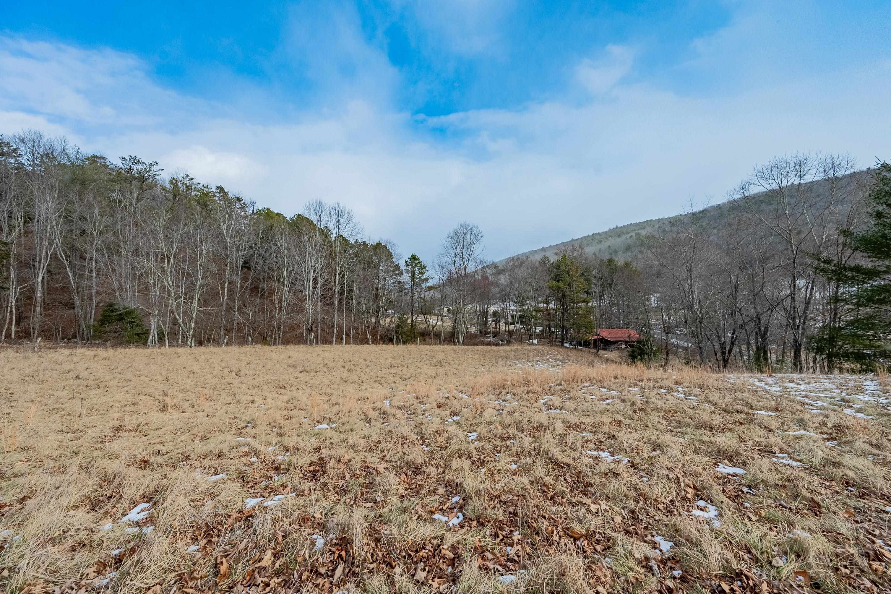 Tbd Spur Branch Road Dublin, VA 24084 - Photo 6 of 84 Gallery Image 6