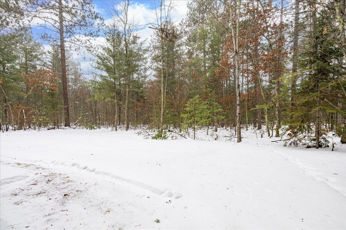 11411 West 3rd Street Solon Springs, WI 54873 - Photo 28 of 33 Back Yard View