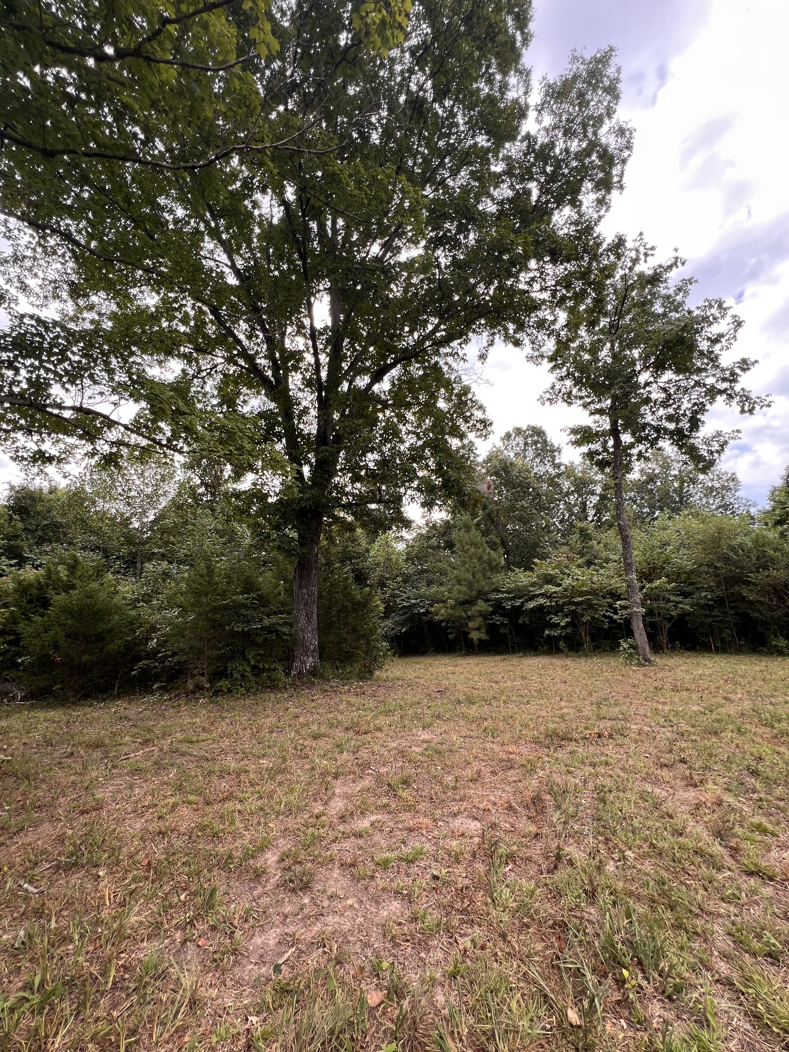 0 High Rise Drive Lyles, TN 37098 - Photo 6 of 19 a backyard of a house with lots of green space