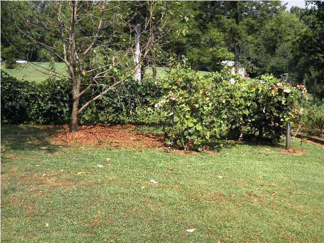 1119 Hiwassee Circle Decatur, TN 37322 - Photo 21 of 25 Additional Photo