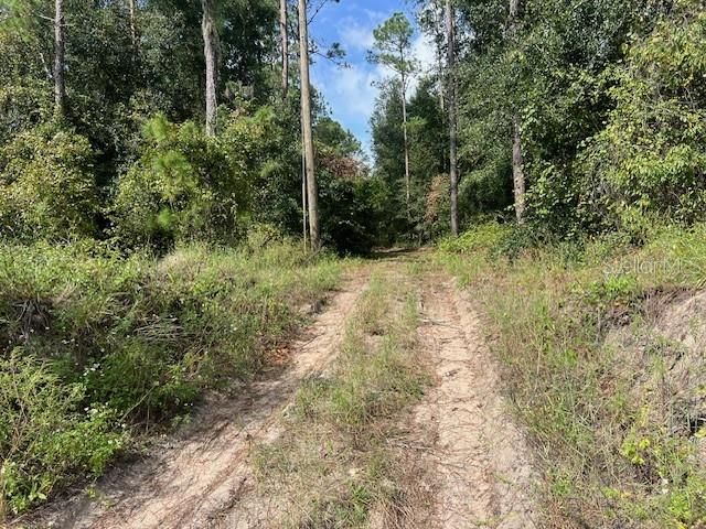 38851 Sumner Lake Road Dade City, FL 33525 - Photo 1 of 1 Gallery Image 1