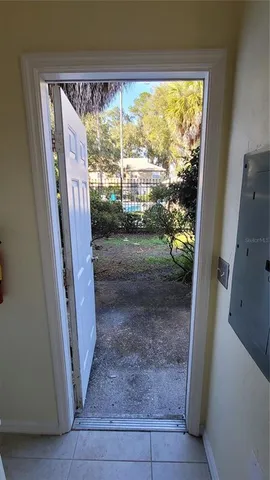 a view of a backyard with large trees