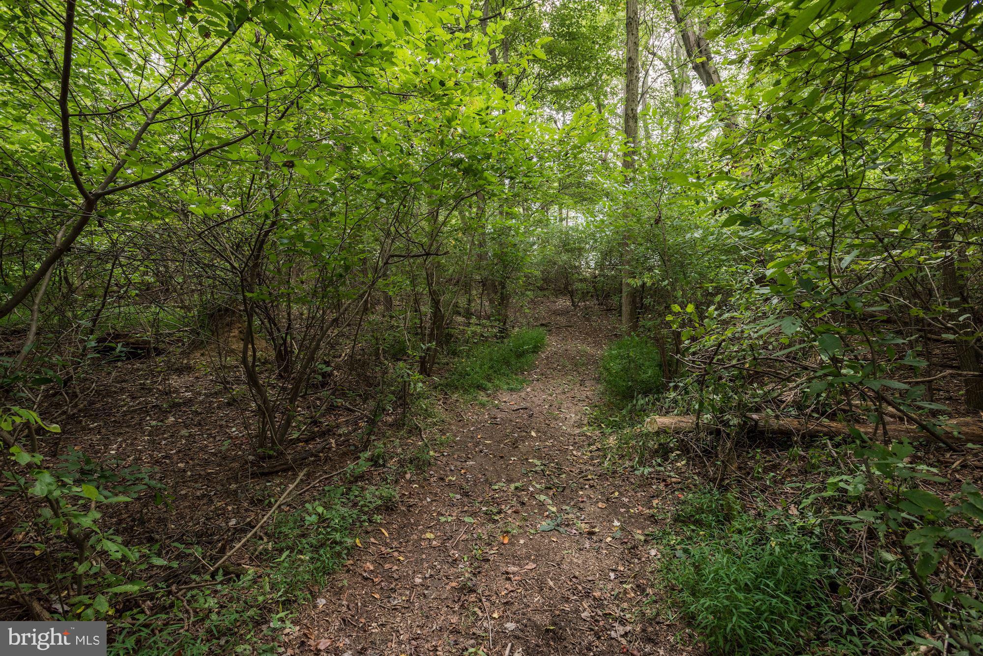 5327 Broadway Road White Hall, MD 21161 - Photo 31 of 49 Riding Trails