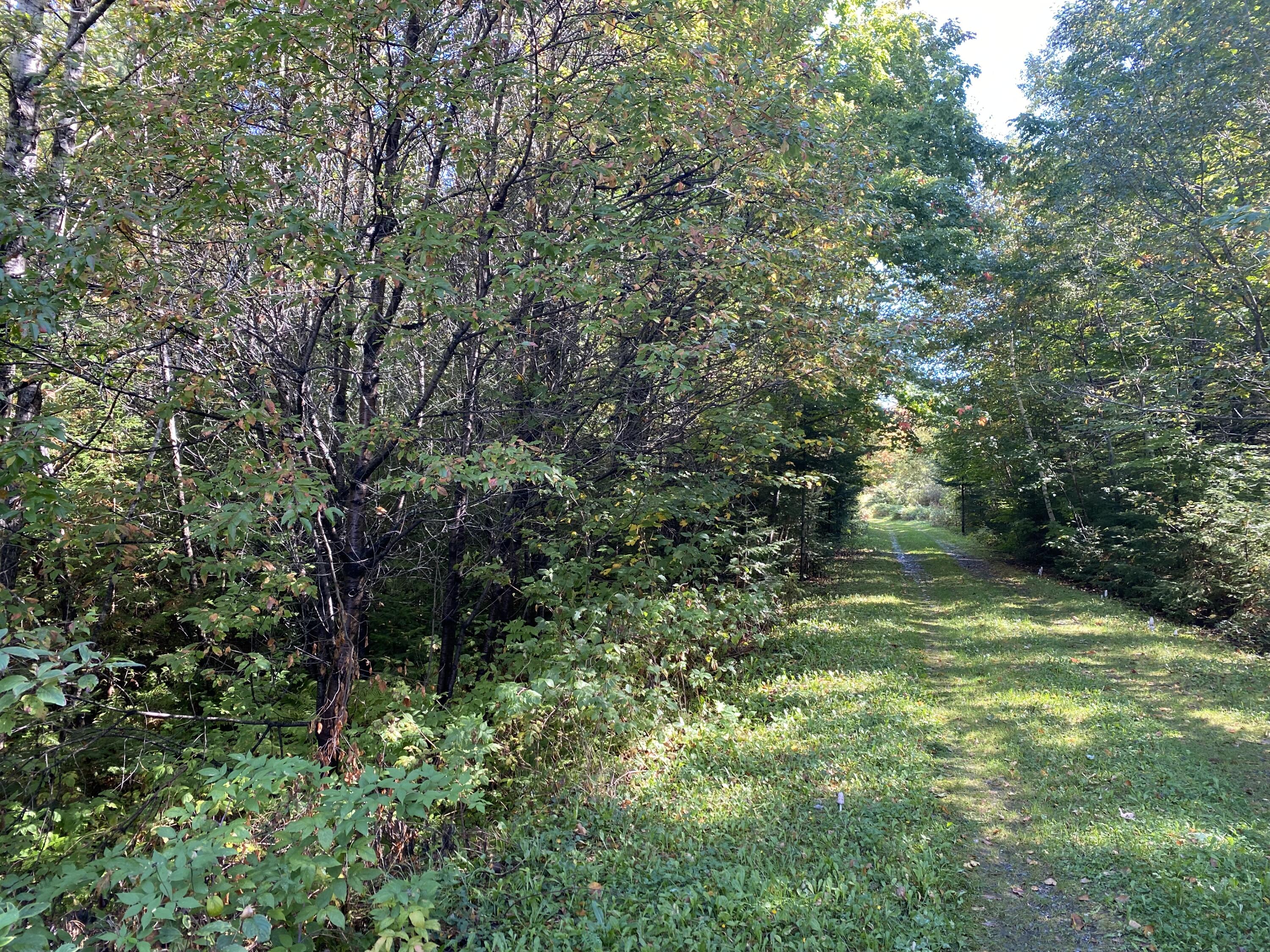 6 Sugartree Road St. David, ME 04773 - Photo 8 of 18 IMG_7263