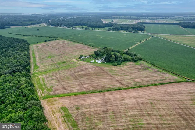 $1,495,000 | 2238 Pig Neck Road, Cambridge, MD 21613