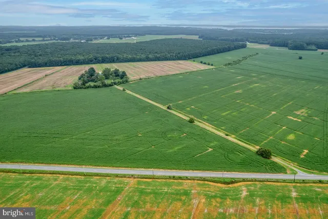 $1,495,000 | 2238 Pig Neck Road, Cambridge, MD 21613