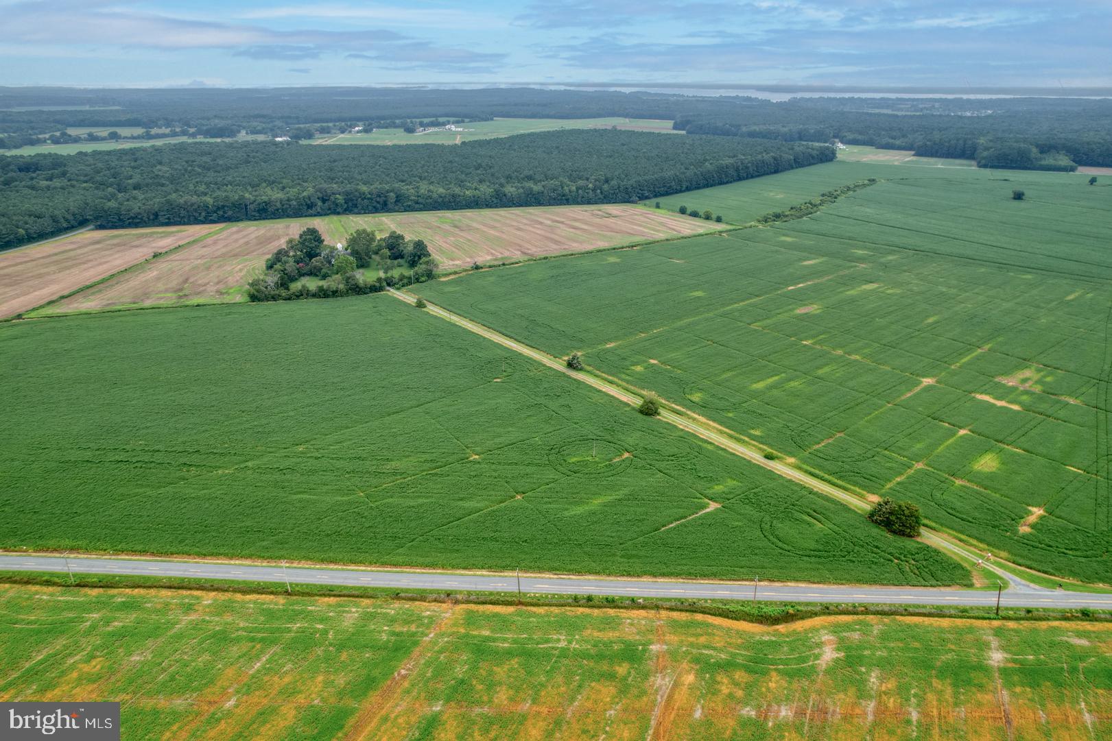 2238 Pig Neck Road Cambridge, MD 21613 - Photo 20 of 31