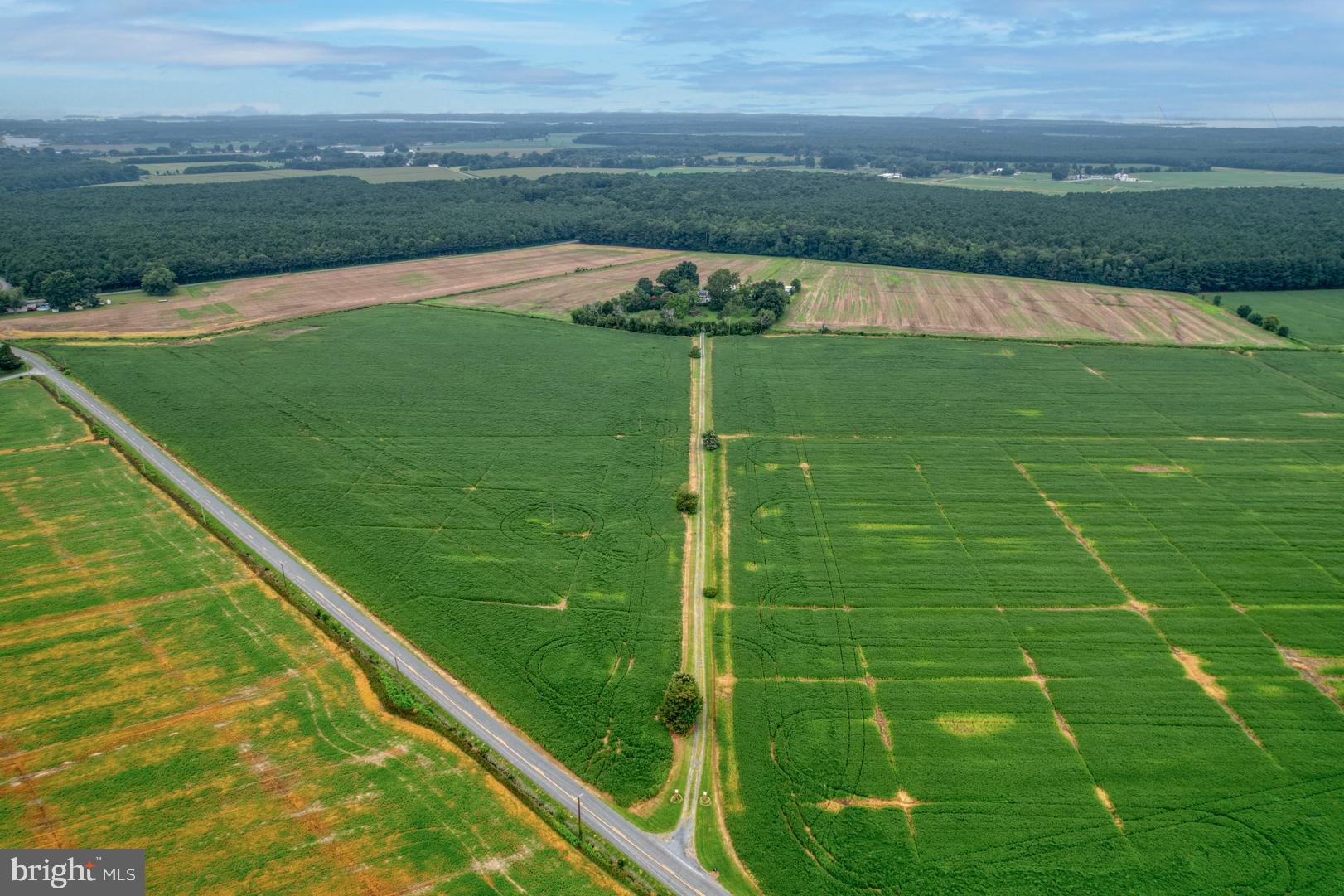 2238 Pig Neck Road Cambridge, MD 21613 - Photo 22 of 31 a view of a field
