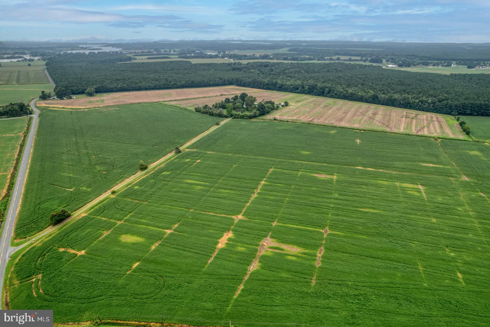 2238 Pig Neck Road Cambridge, MD 21613 - Photo 23 of 31 a view of a green field