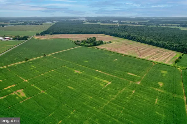 a view of a field with an ocean