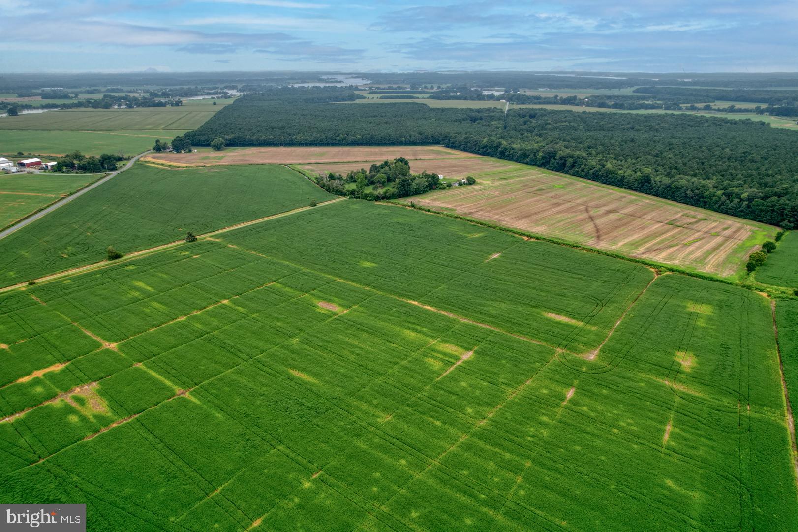 2238 Pig Neck Road Cambridge, MD 21613 - Photo 24 of 31