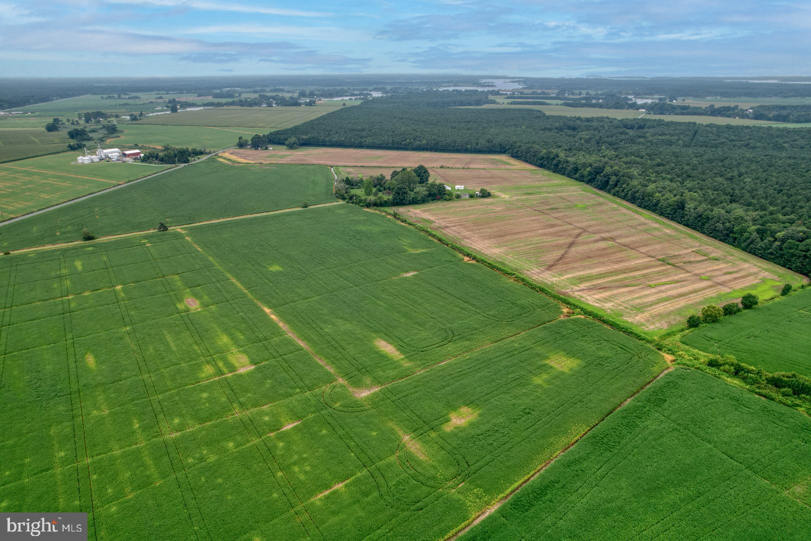 2238 Pig Neck Road Cambridge, MD 21613 - Photo 25 of 31 a view of a outdoor space