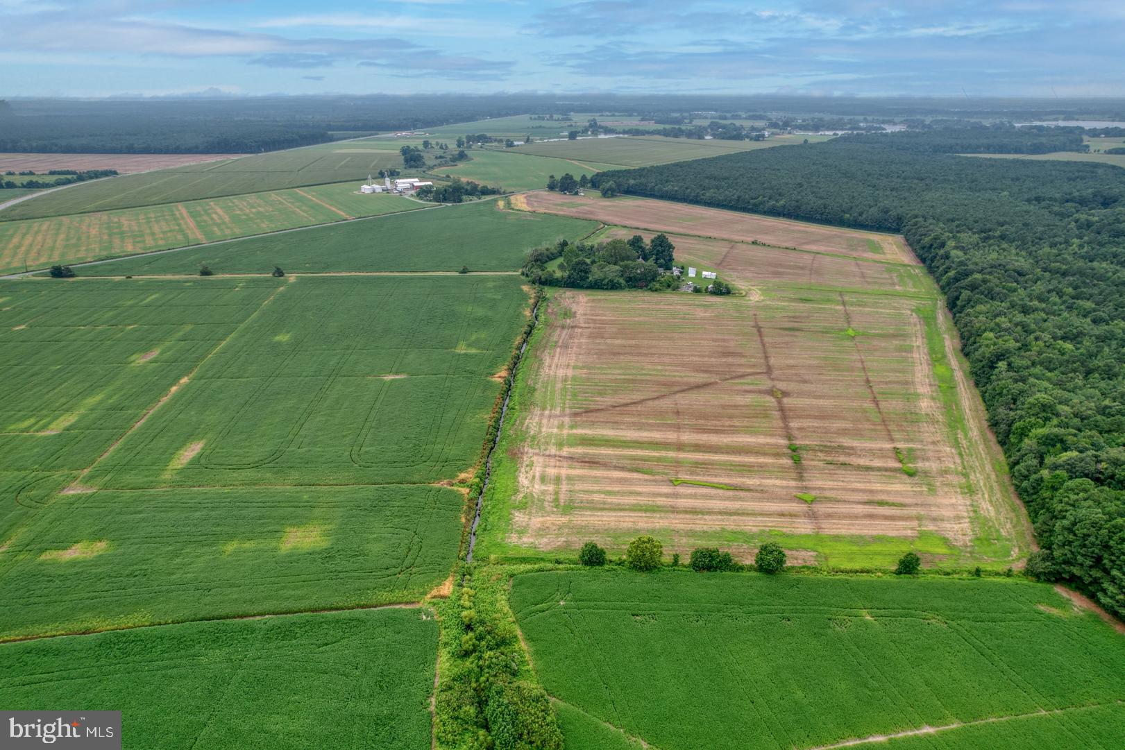2238 Pig Neck Road Cambridge, MD 21613 - Photo 26 of 31 a view of a field with an outdoor space