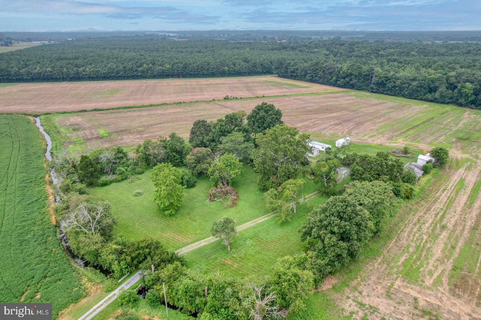 2238 Pig Neck Road Cambridge, MD 21613 - Photo 29 of 31 a view of a field with an ocean