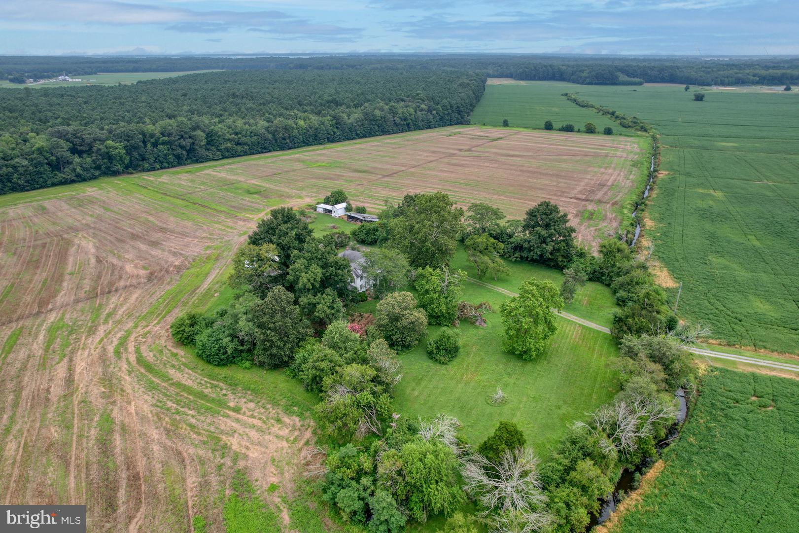 2238 Pig Neck Road Cambridge, MD 21613 - Photo 9 of 31 a view of a backyard