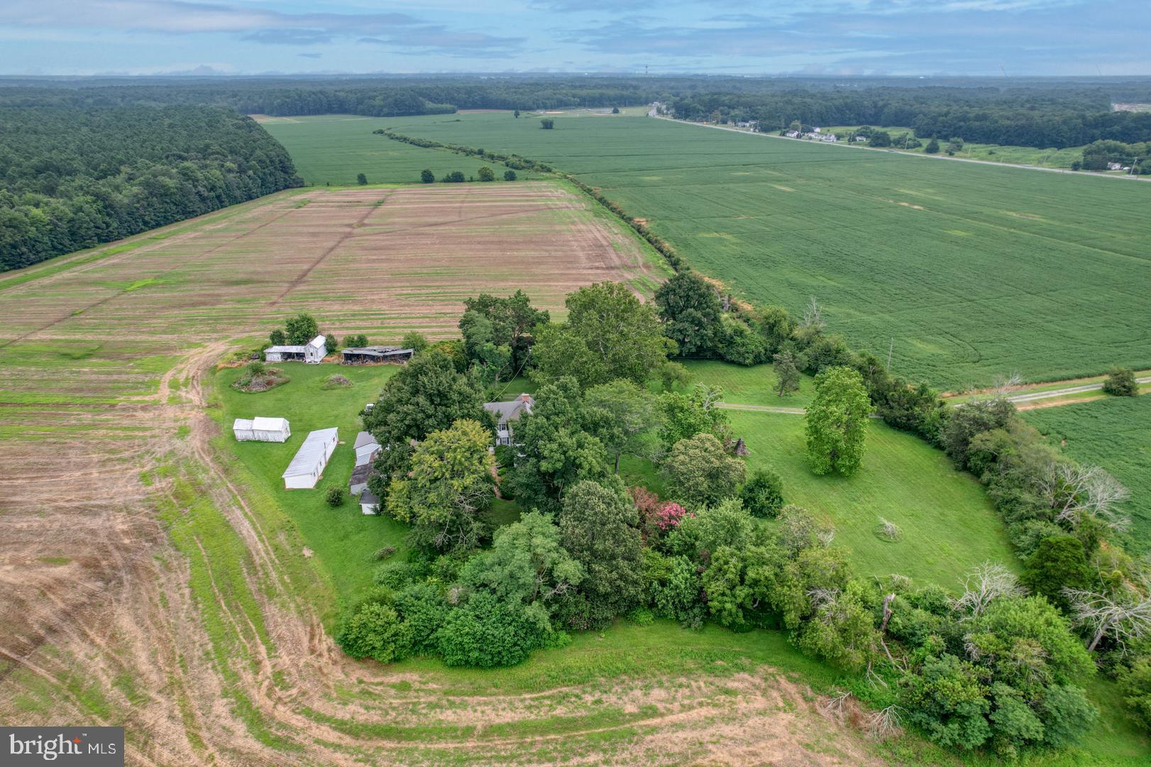 2238 Pig Neck Road Cambridge, MD 21613 - Photo 10 of 31 a view of a garden with a building