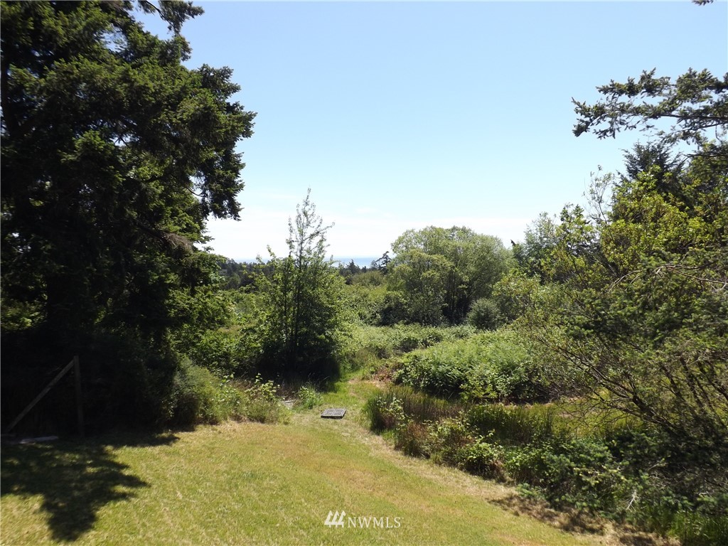 262 Little Mountain Road Friday Harbor, WA 98250 - Photo 16 of 23 Gallery Image 16