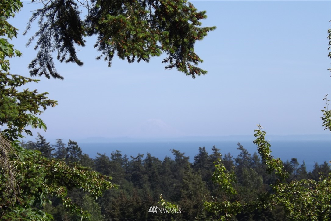 262 Little Mountain Road Friday Harbor, WA 98250 - Photo 20 of 23 Gallery Image 20