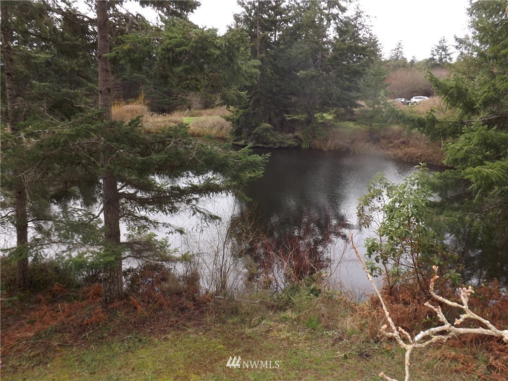 262 Little Mountain Road Friday Harbor, WA 98250 - Photo 8 of 23 Gallery Image 8