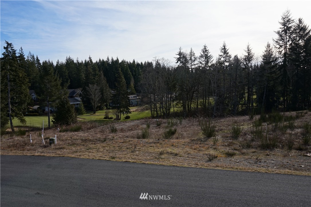 920 East Old Ranch Road, Unit LOT 3 Allyn, WA 98524 - Photo 5 of 6 Gallery Image 5