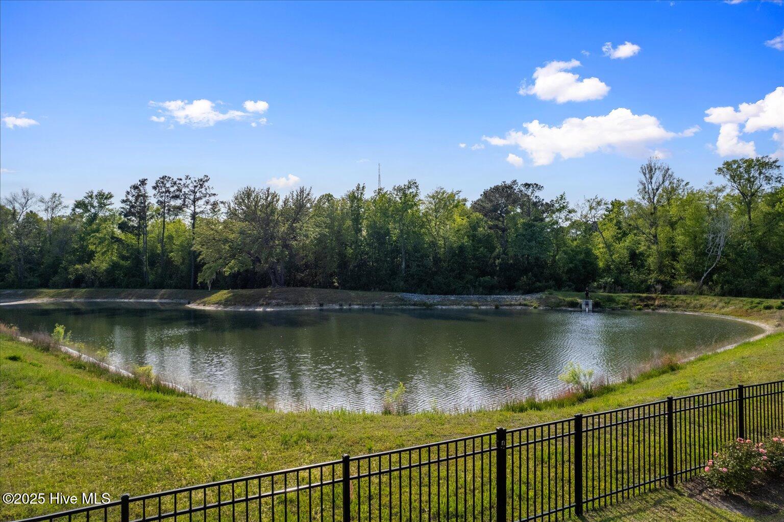 179 Thrush Trail Hampstead, NC 28443 - Photo 73 of 88 86-FinalDroneJoy-7