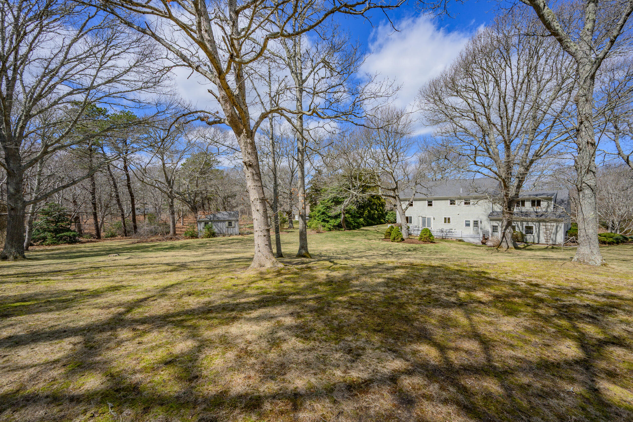 43 Sturgis Lane Barnstable, MA 02630 - Photo 6 of 70 a view of large trees with yard