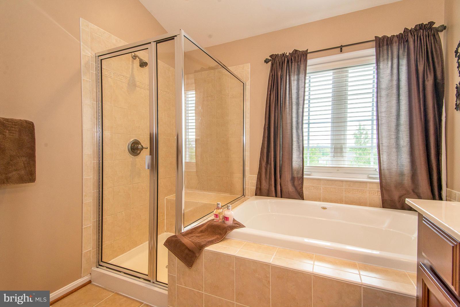 9181 Furey Road Lorton, VA 22079 - Photo 14 of 29 Bath (Master)