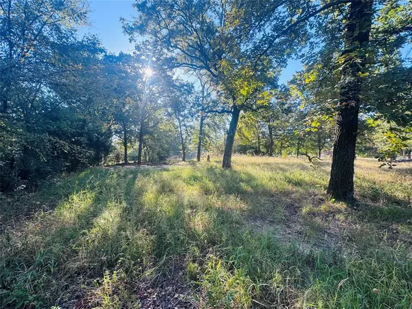 a view of backyard with outdoor space